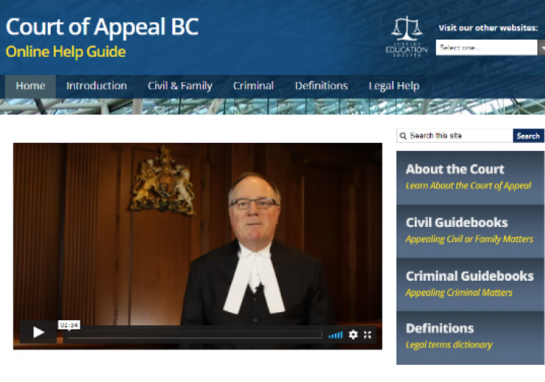 Justice Sector Organizational Videos